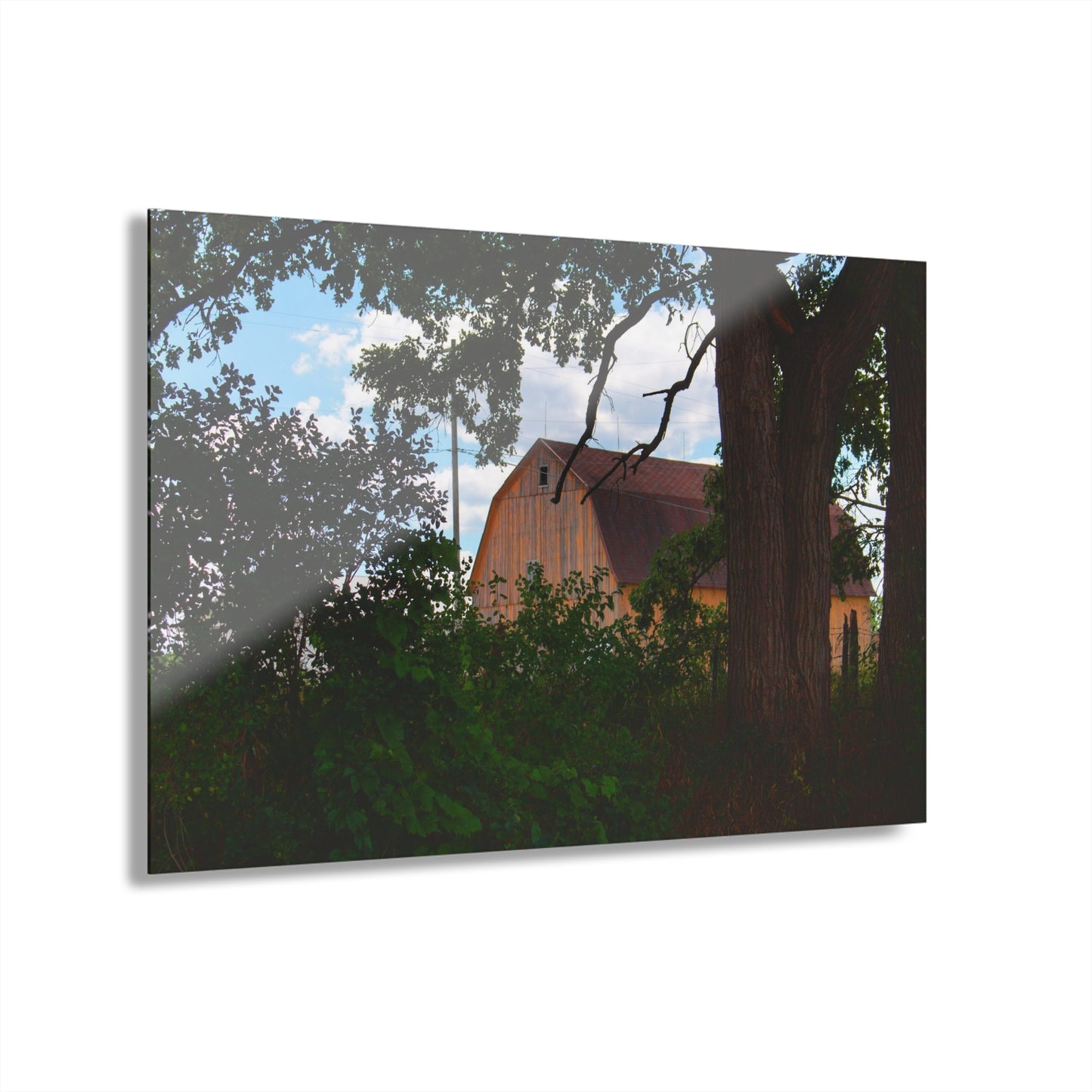 U R There Photography Bristol Gold Hidden Rustic Farmhouse Acrylic Wall Print