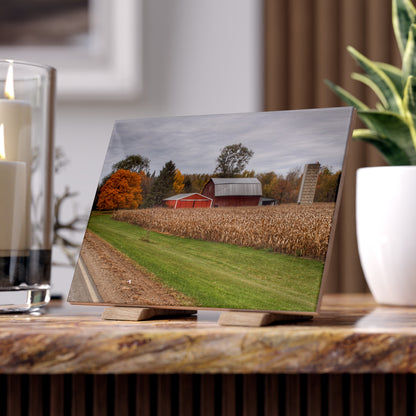 U R There Photography Birch Run Road Reds Rustic Farmhouse Decorative Ceramic Tile