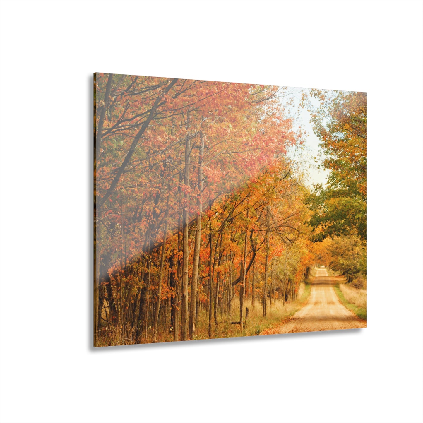 Barn Boutique Modern Farmhouse Acrylic Wall Print| Murphy Lake Road in the Fall I