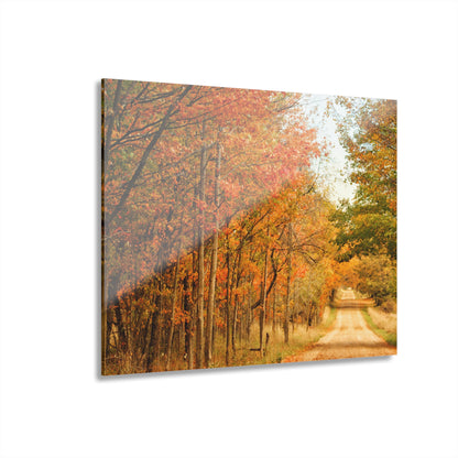 Barn Boutique Modern Farmhouse Acrylic Wall Print| Murphy Lake Road in the Fall I