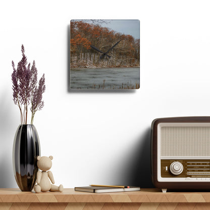 U R There Photography The Freeze of Thornville Rustic Farmhouse Acrylic Analog Wall Clock