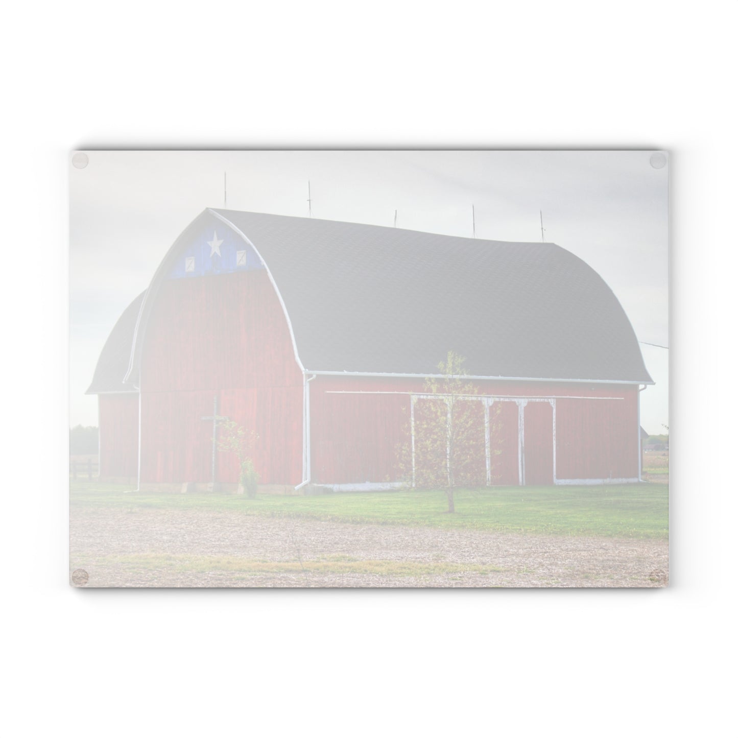 U R There Photography M-24 Star Barn Rustic Farmhouse Tempered-Glass Cutting Board