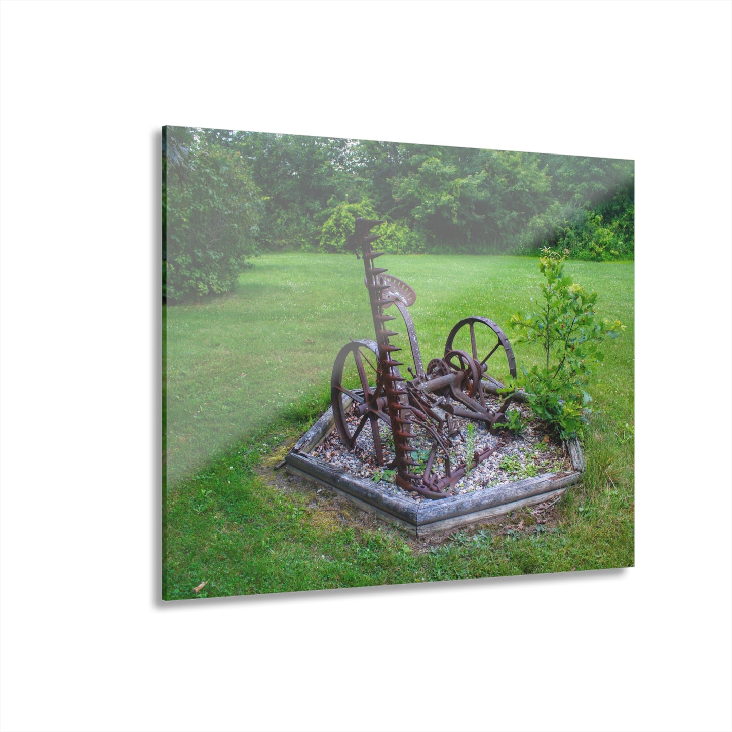 U R There Photography Farm Yard Art Rustic Farmhouse Acrylic Wall Print