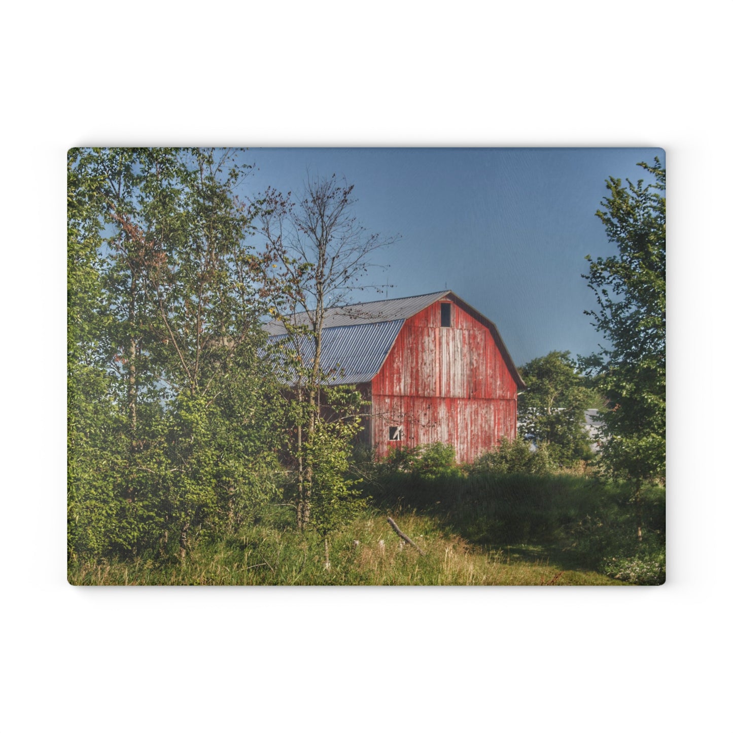 U R There Photography Columbiaville Red in Summer III Rustic Farmhouse Tempered-Glass Cutting Board