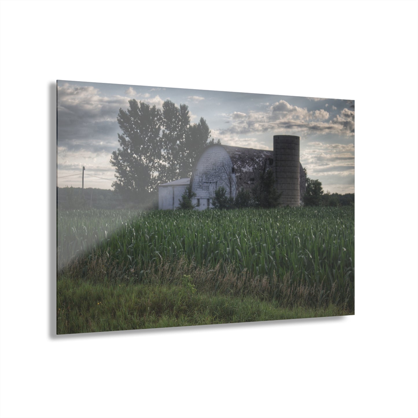 U R There Photography Genesee Road White Rustic Farmhouse Acrylic Wall Print