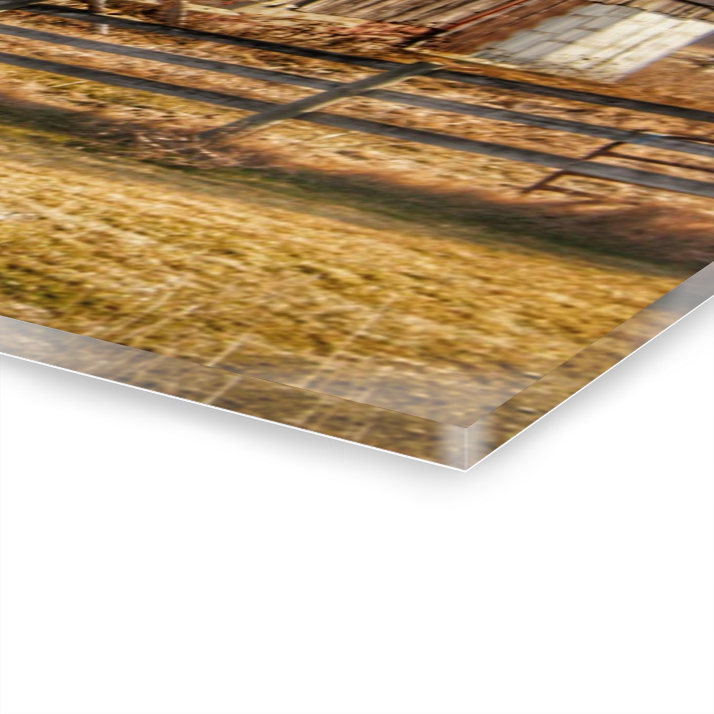 U R There Photography Irish Road Old Red Rustic Farmhouse Acrylic Wall Print