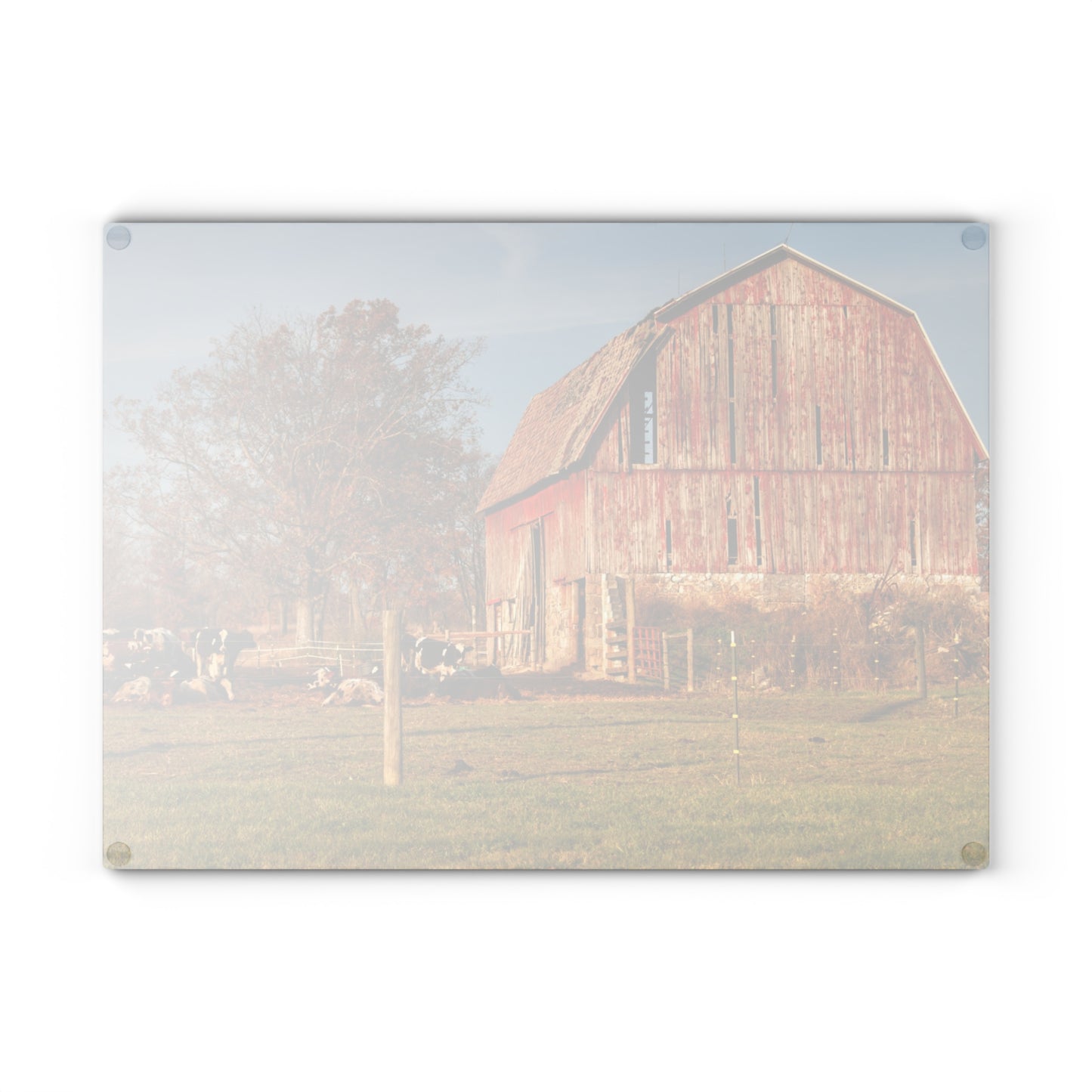 U R There Photography Marathon Road Red Rustic Farmhouse Tempered-Glass Cutting Board 8"x 11"