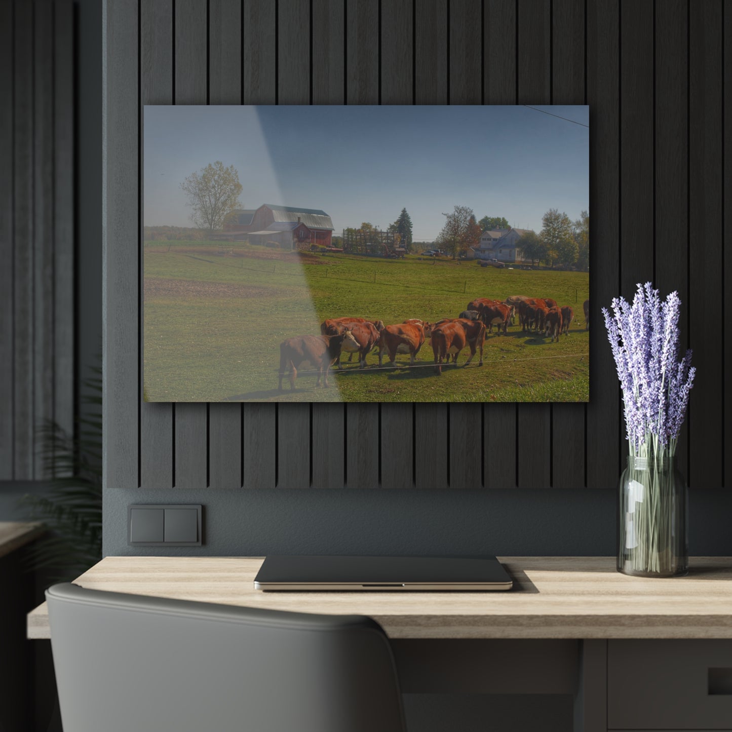 U R There Photography Plain Road Farm and Cows Rustic Farmhouse Acrylic Wall Print