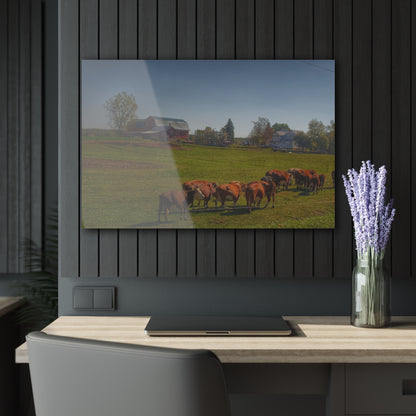 U R There Photography Plain Road Farm and Cows Rustic Farmhouse Acrylic Wall Print