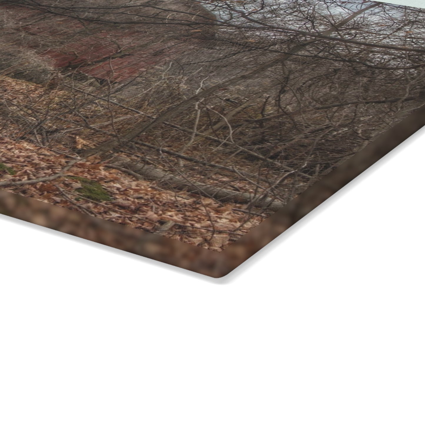 U R There Photography Mayville Hidden Barn II Rustic Farmhouse Tempered-Glass Cutting Board