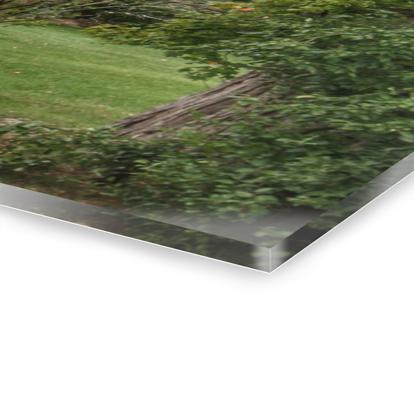 U R There Photography Hayes Road Hidden II Rustic Farmhouse Acrylic Wall Print