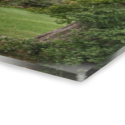 U R There Photography Hayes Road Hidden II Rustic Farmhouse Acrylic Wall Print