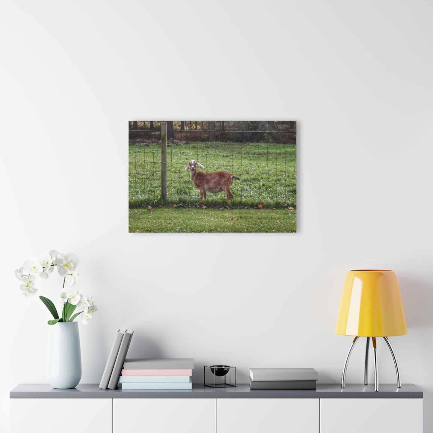 Barn Boutique Modern Farmhouse Acrylic Wall Print| Goats of Ortonville I