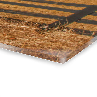 U R There Photography Green Barns and Broken Fences Rustic Farmhouse Acrylic Wall Print