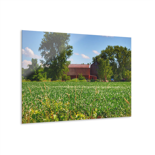 U R There Photography Canada Road Hidden Red Rustic Farmhouse Acrylic Wall Print
