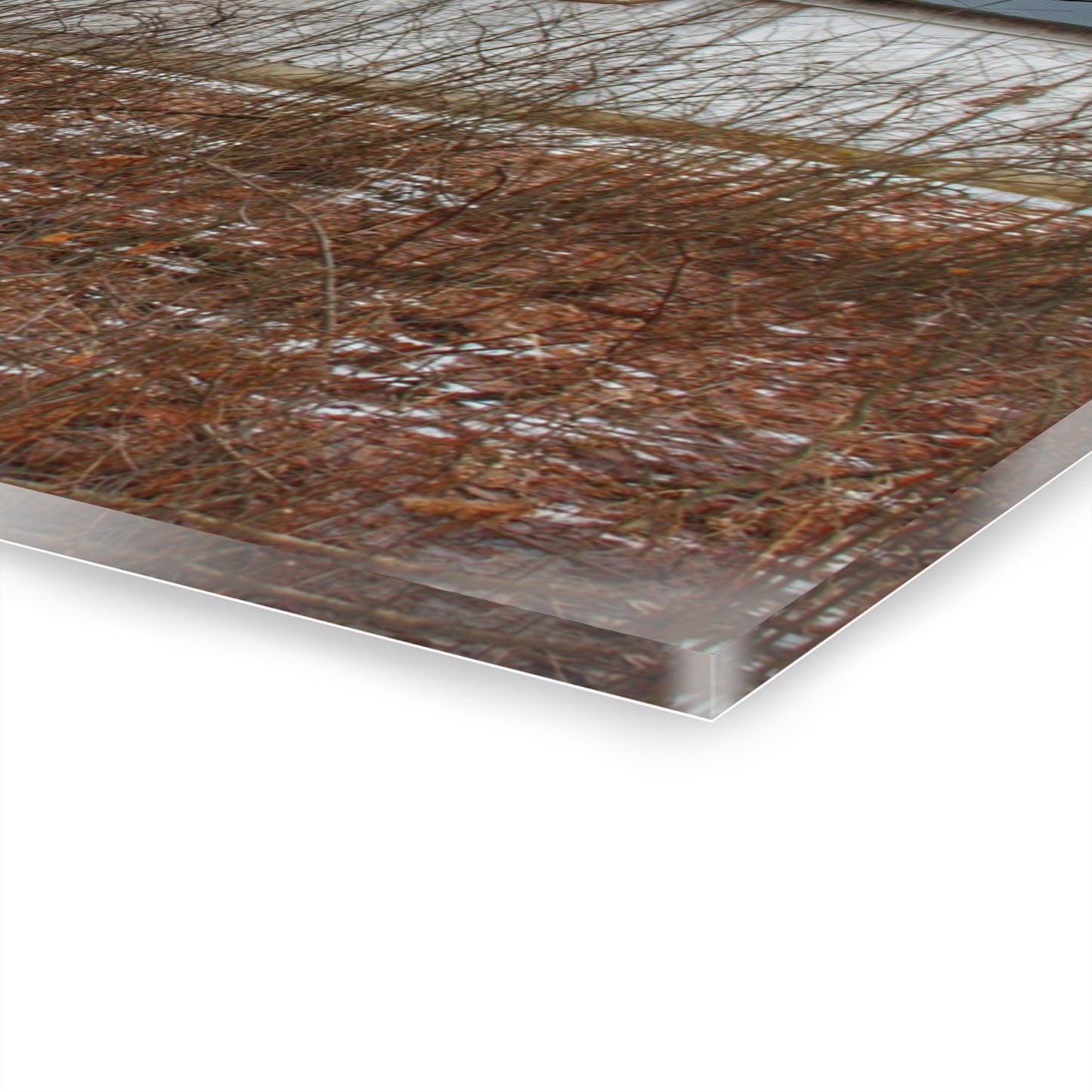 U R There Photography Norway Lake Hidden White Rustic Farmhouse Acrylic Wall Print