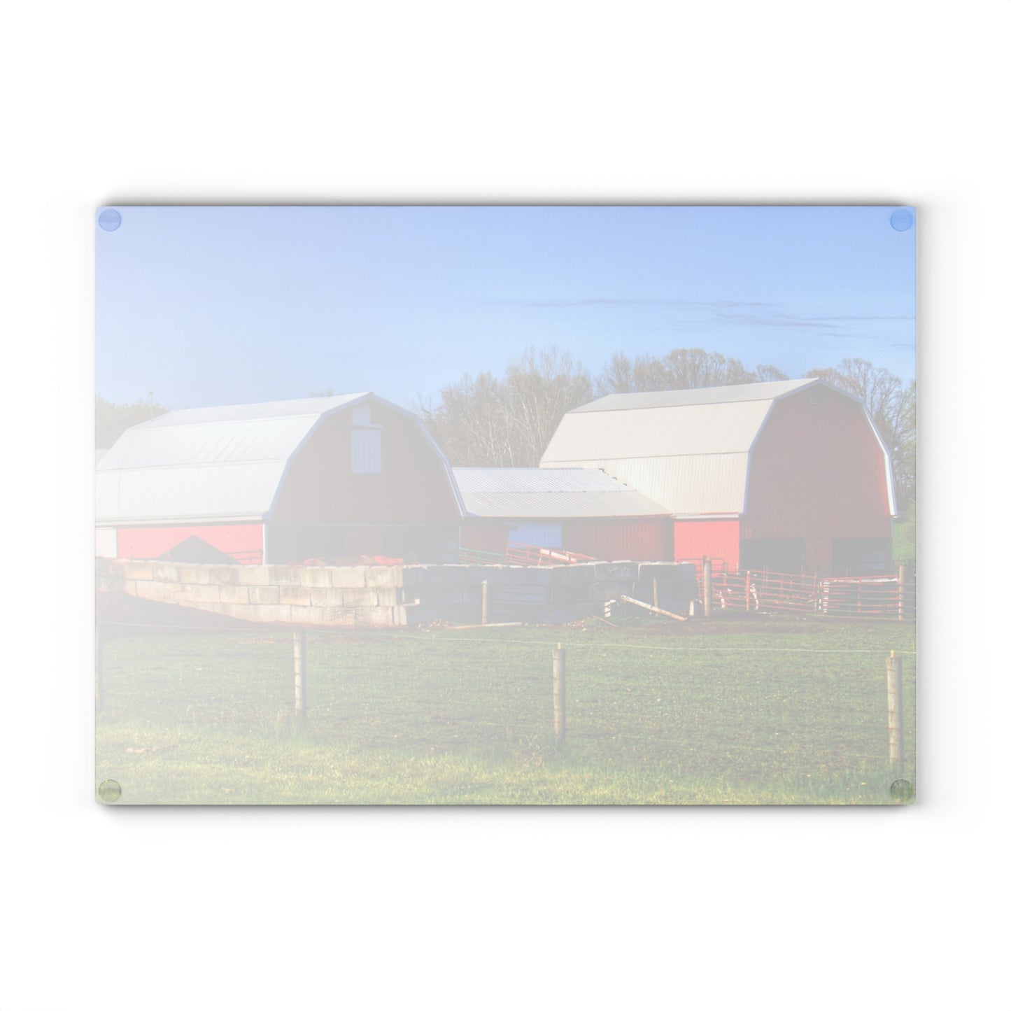 U R There Photography M-15 Reds Rustic Farmhouse Tempered-Glass Cutting Board