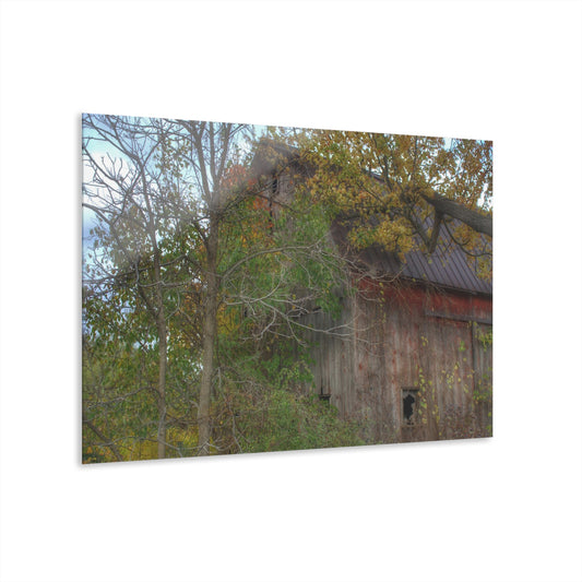 U R There Photography Annie's Barn I Rustic Farmhouse Acrylic Wall Print