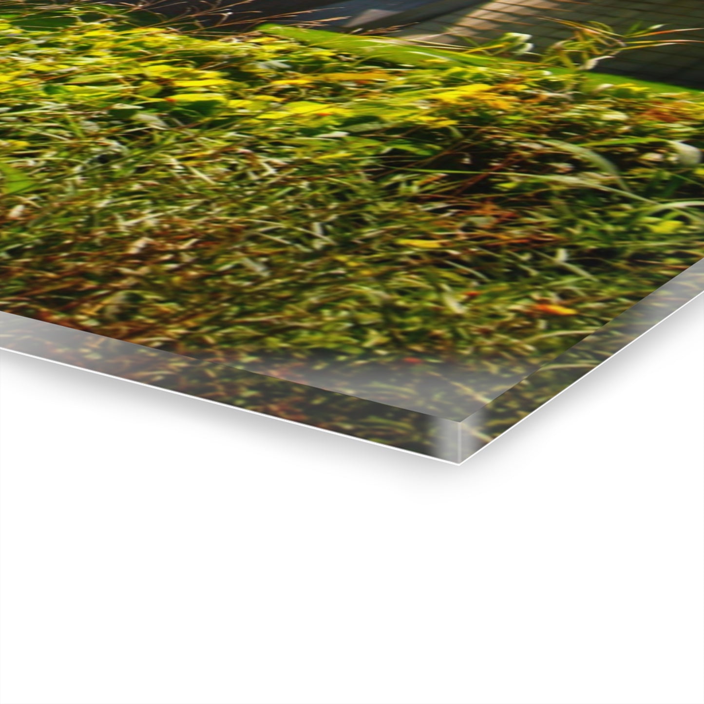 U R There Photography Hough Road Greys Rustic Farmhouse Acrylic Wall Print