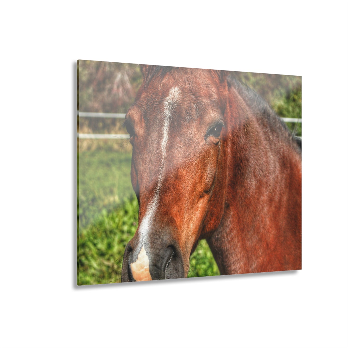 Rustic Farmhouse Wall Print Featuring Irish Road Brownie