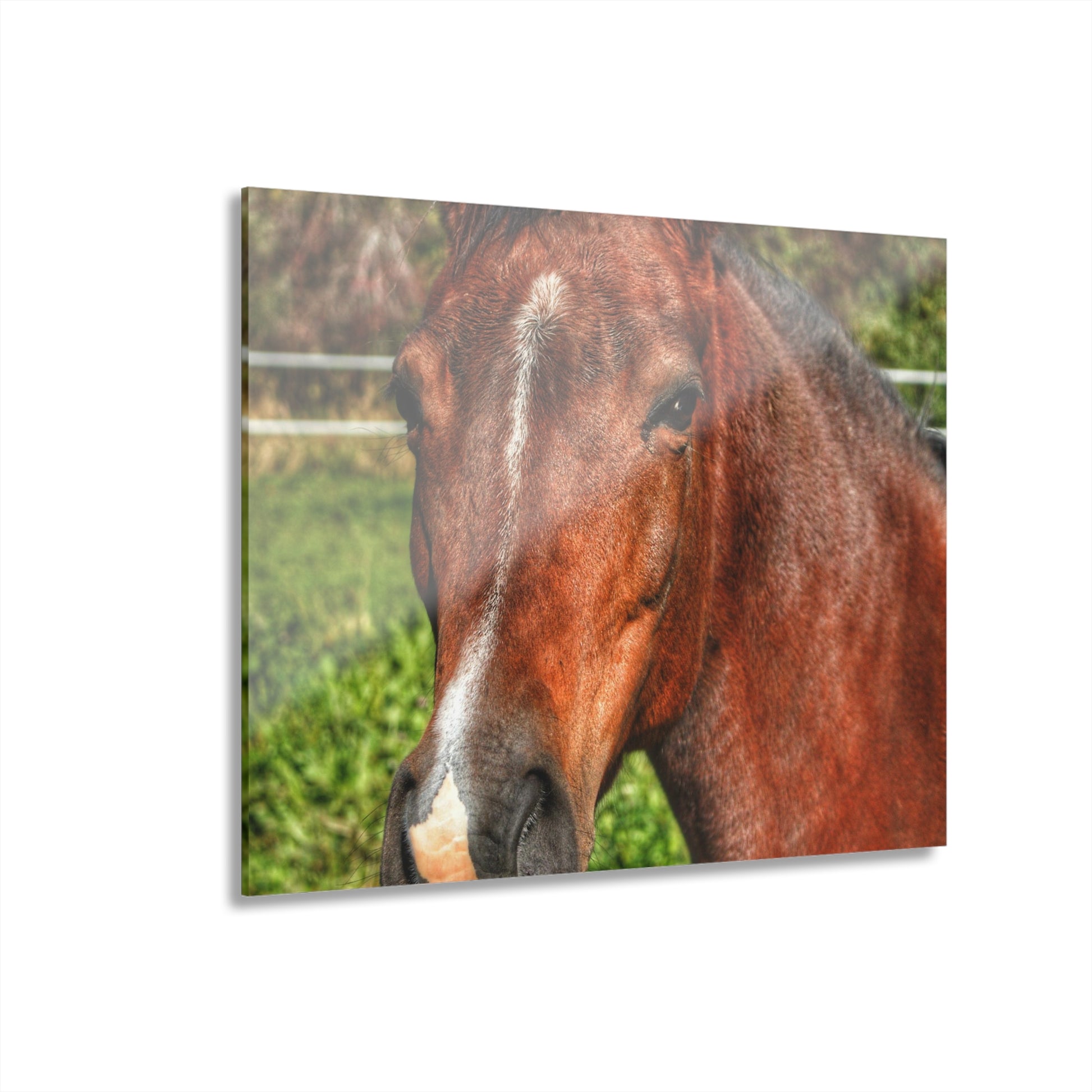 Rustic Farmhouse Wall Print Featuring Irish Road Brownie