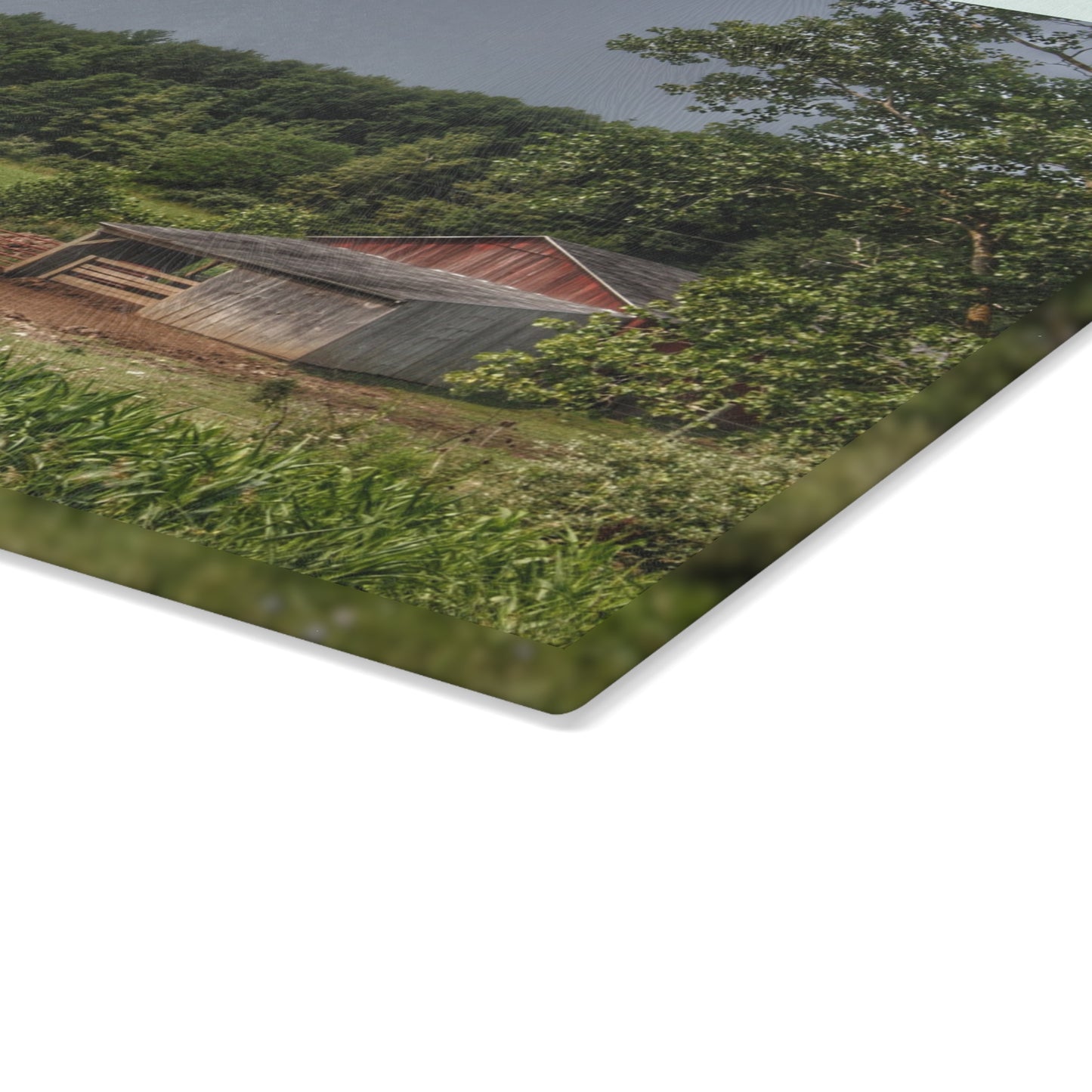 U R There Photography West Oregon Road Hidden Red I Rustic Farmhouse Tempered-Glass Cutting Board