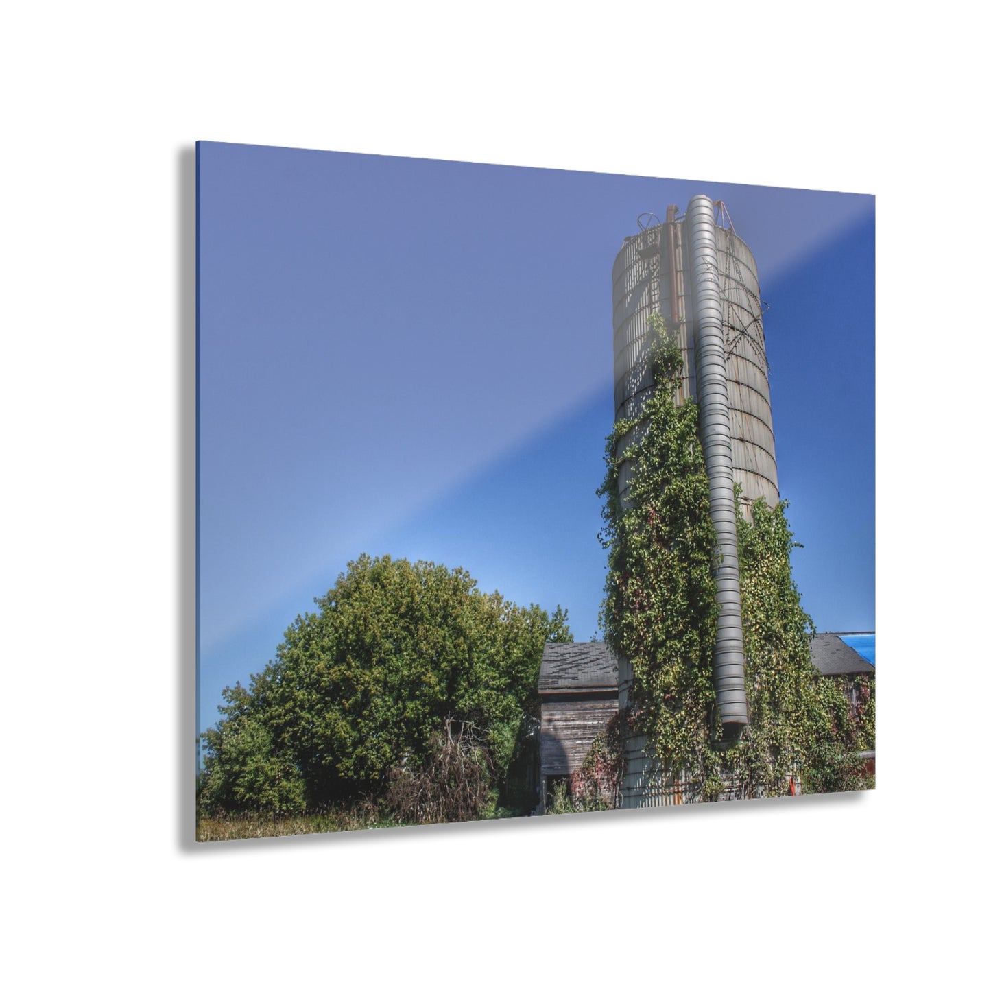 U R There Photography Bordman Road Old Grey and Silo I Rustic Farmhouse Acrylic Wall Print