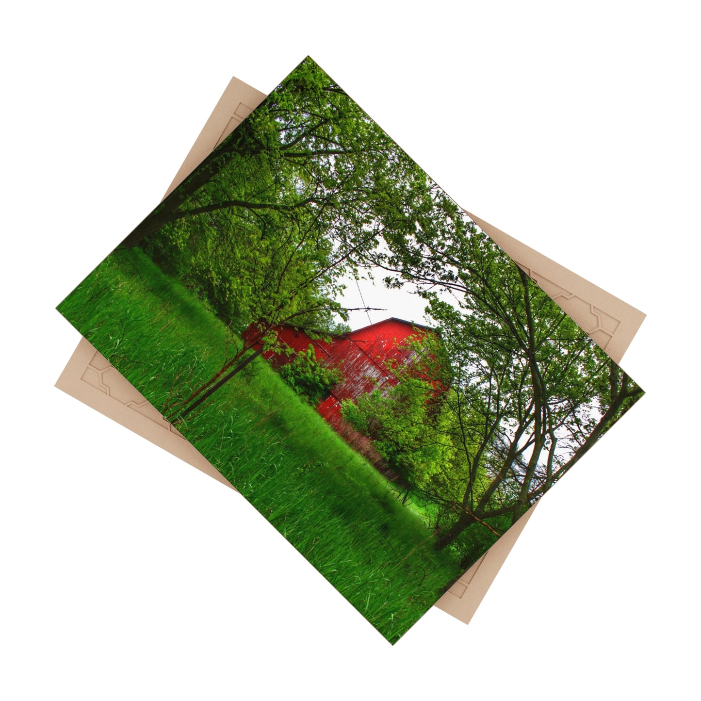 U R There Photography Bird Road Red Rustic Farmhouse Decorative Ceramic Tile