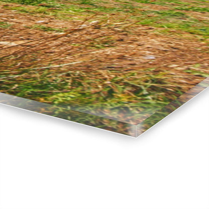 U R There Photography Freiberger Road Greys Rustic Farmhouse Acrylic Wall Print