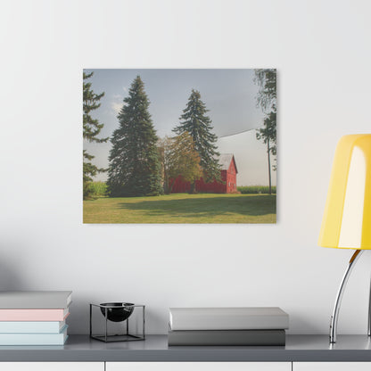 U R There Photography Small Red Barn Beneath the Pines Rustic Farmhouse Acrylic Wall Print