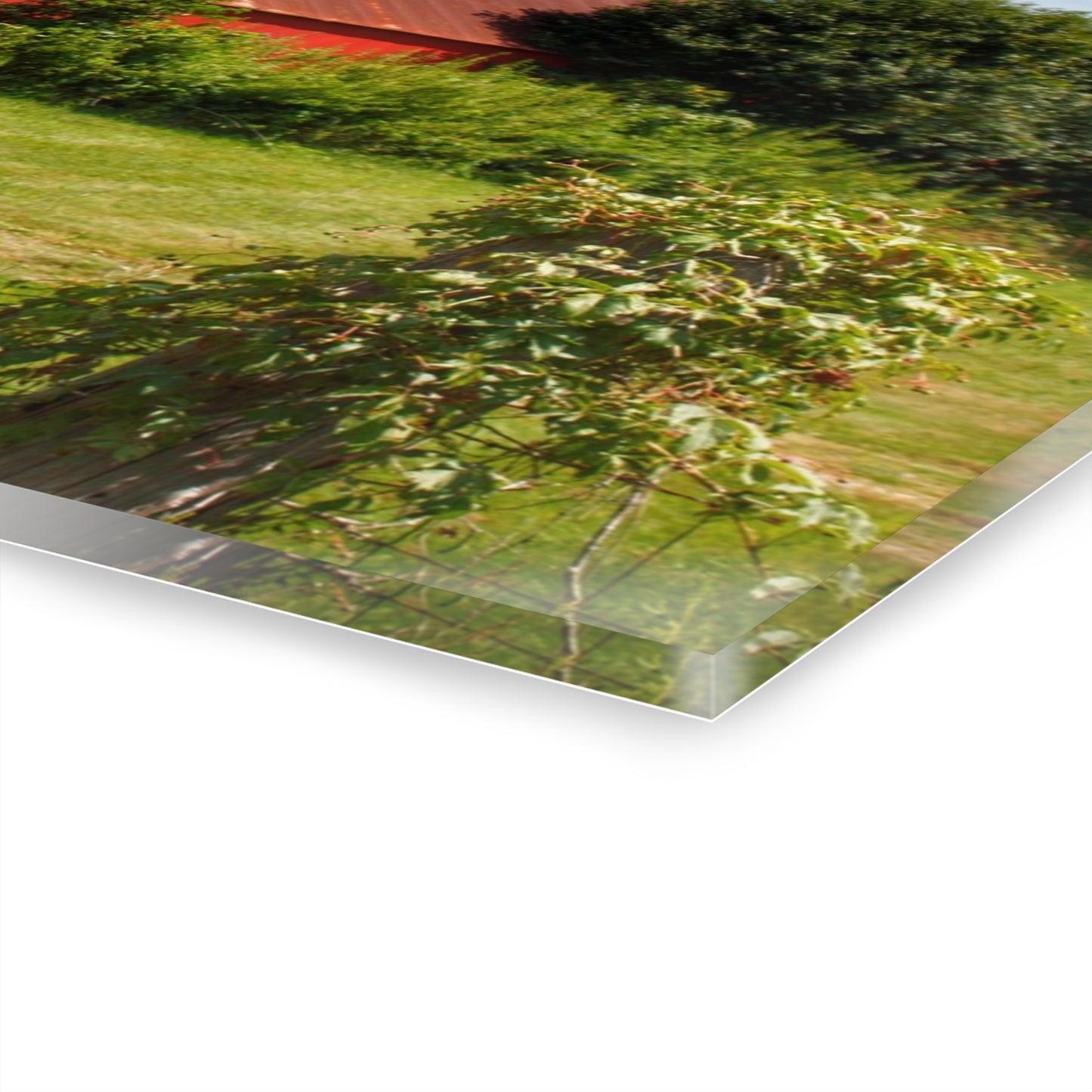 U R There Photography South Oak Road Reds II Rustic Farmhouse Acrylic Wall Print