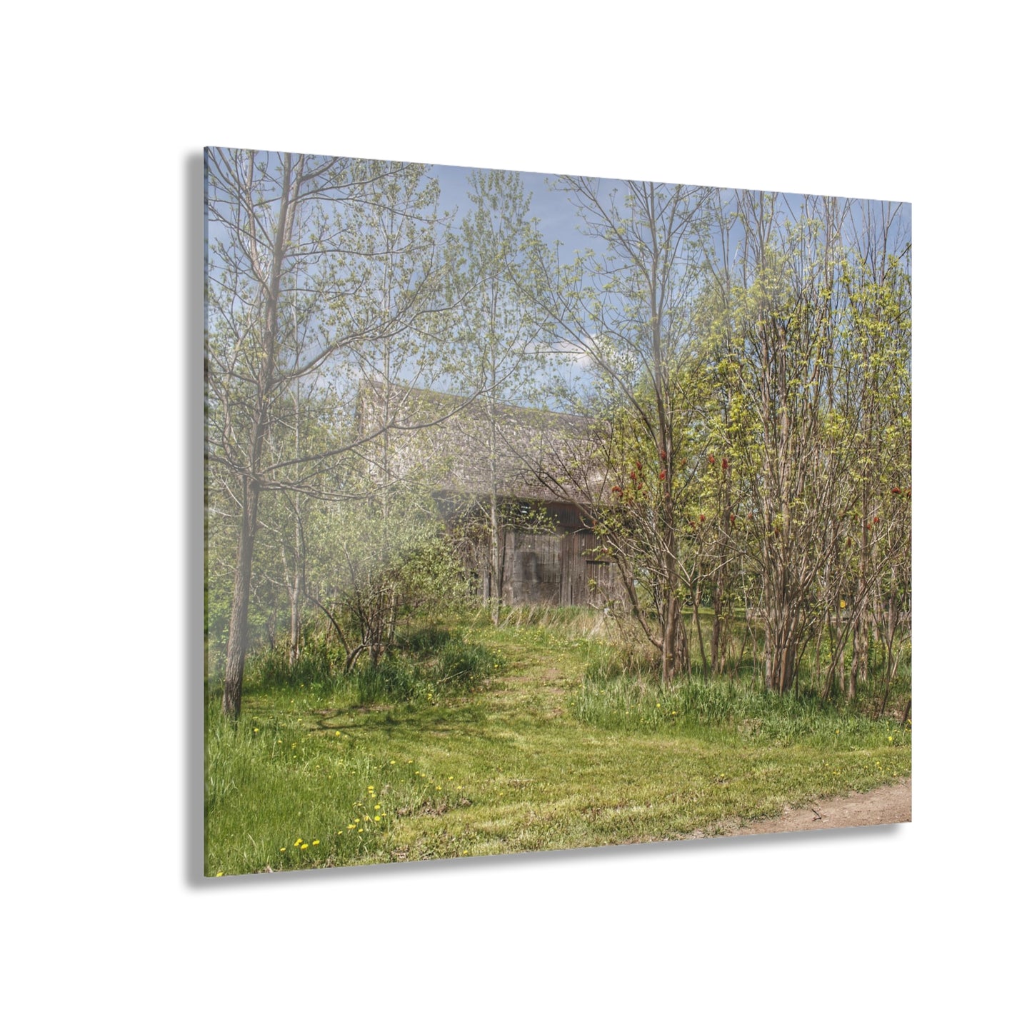 U R There Photography Bishop Road Grey I Rustic Farmhouse Acrylic Wall Print