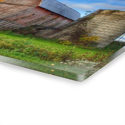 U R There Photography North Irish Red II Rustic Farmhouse Acrylic Wall Print