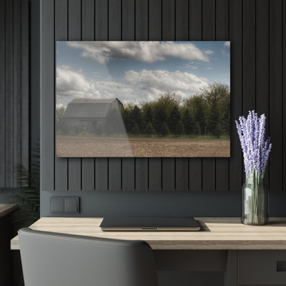 U R There Photography Sandusky Grey in the Pines Rustic Farmhouse Acrylic Wall Print