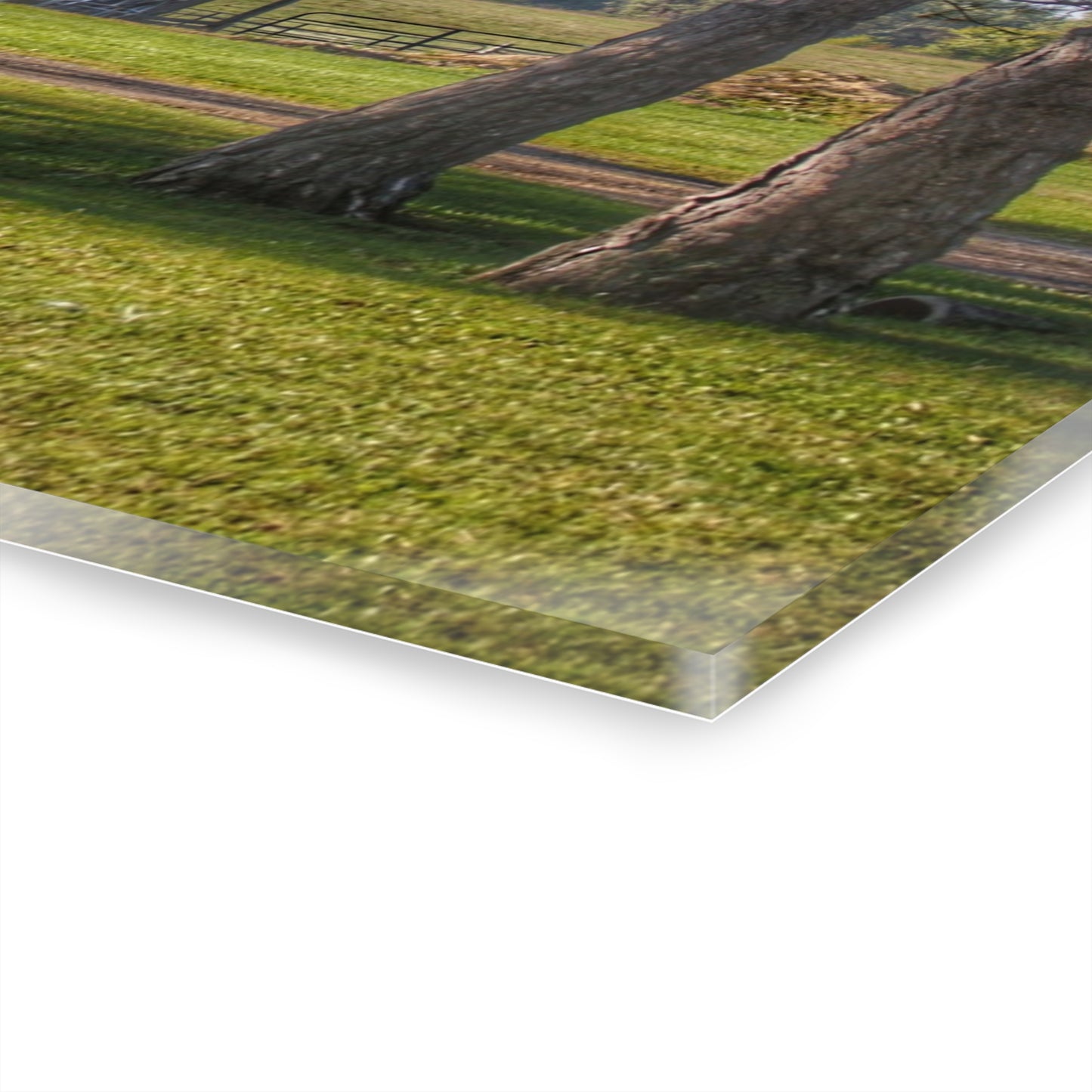 U R There Photography Newark Road Tilted Grey II Rustic Farmhouse Acrylic Wall Print