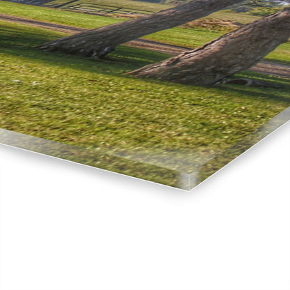 U R There Photography Newark Road Tilted Grey II Rustic Farmhouse Acrylic Wall Print