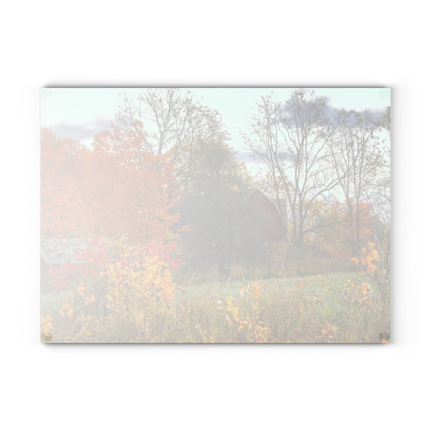 U R There Photography Bowers Hidden Red Rustic Farmhouse Tempered-Glass Cutting Board