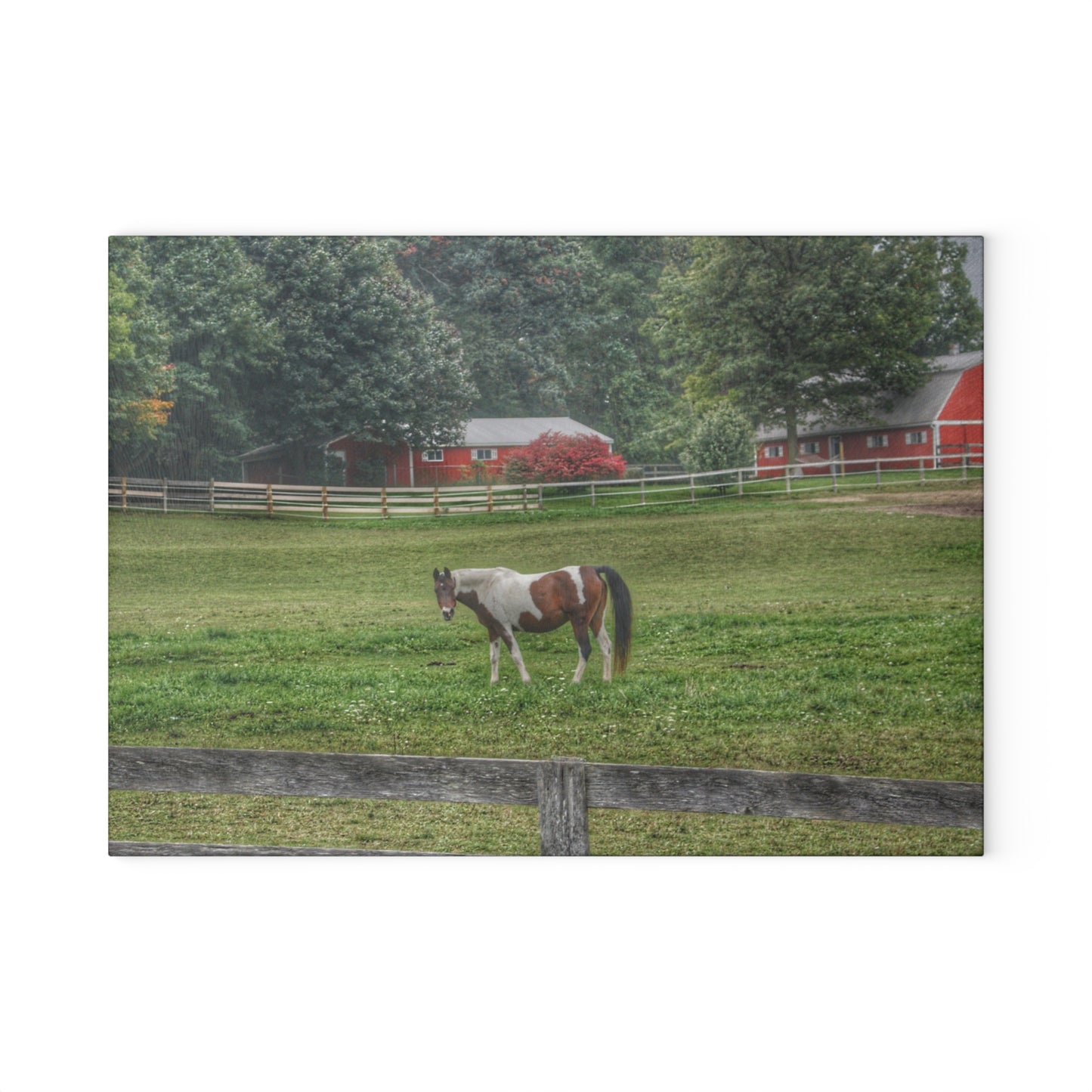 U R There Photography Painted Pony in Pasture Rustic Farmhouse Tempered-Glass Cutting Board