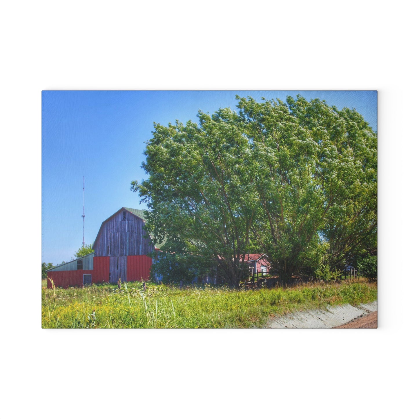 U R There Photography East Farrand Grey Rustic Farmhouse Tempered-Glass Cutting Board