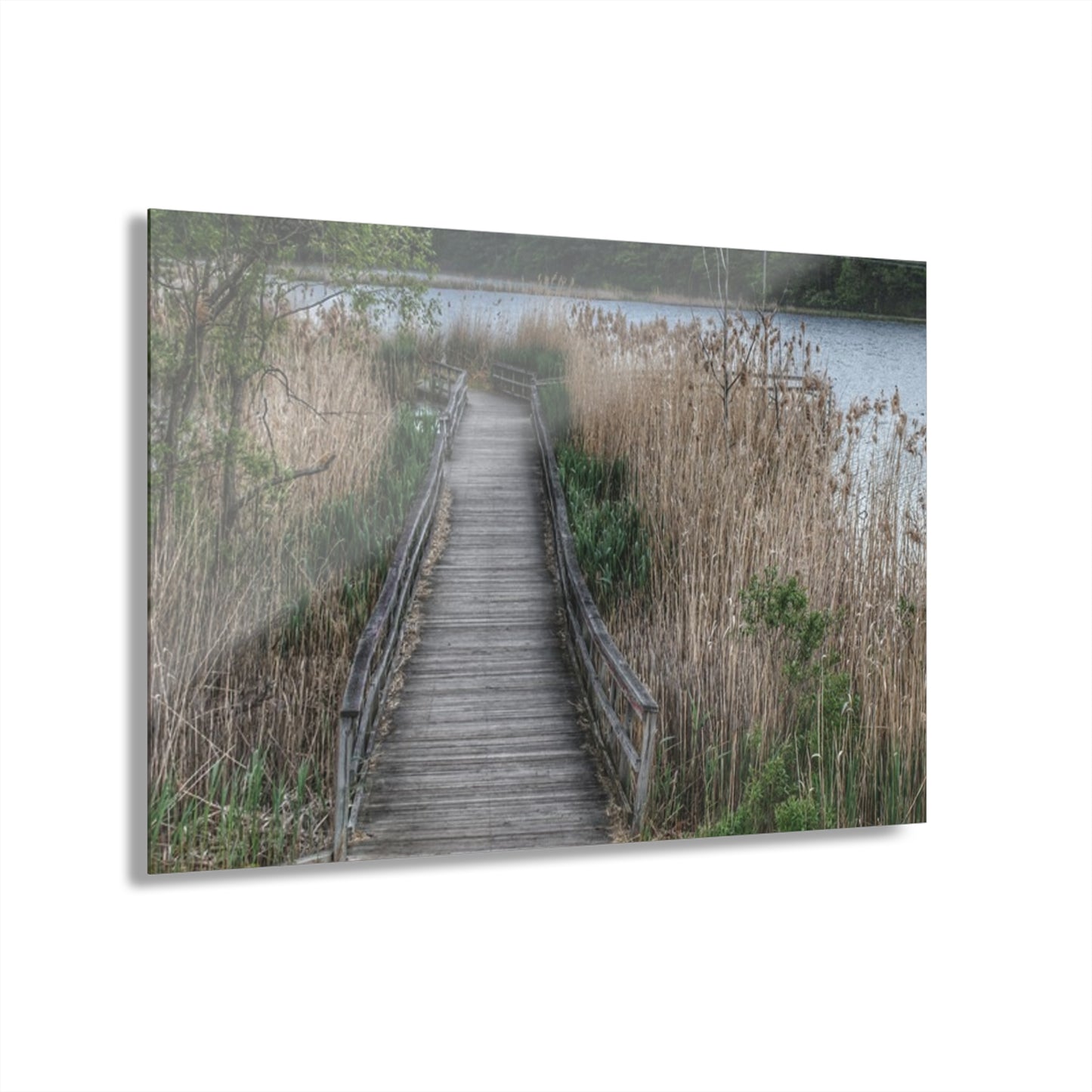 U R There Photography Linear Park Bridge in Lapeer II Rustic Farmhouse Acrylic Wall Print