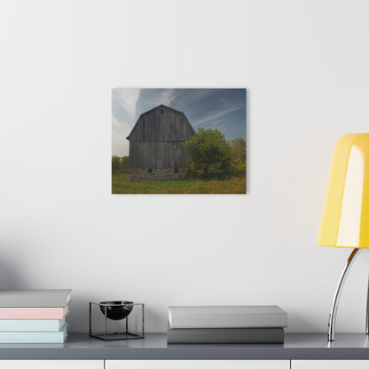 U R There Photography Cat Lake Grey I Rustic Farmhouse Acrylic Wall Print