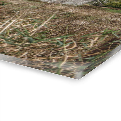 U R There Photography East Frances Road Hidden Grey I Rustic Farmhouse Acrylic Wall Print