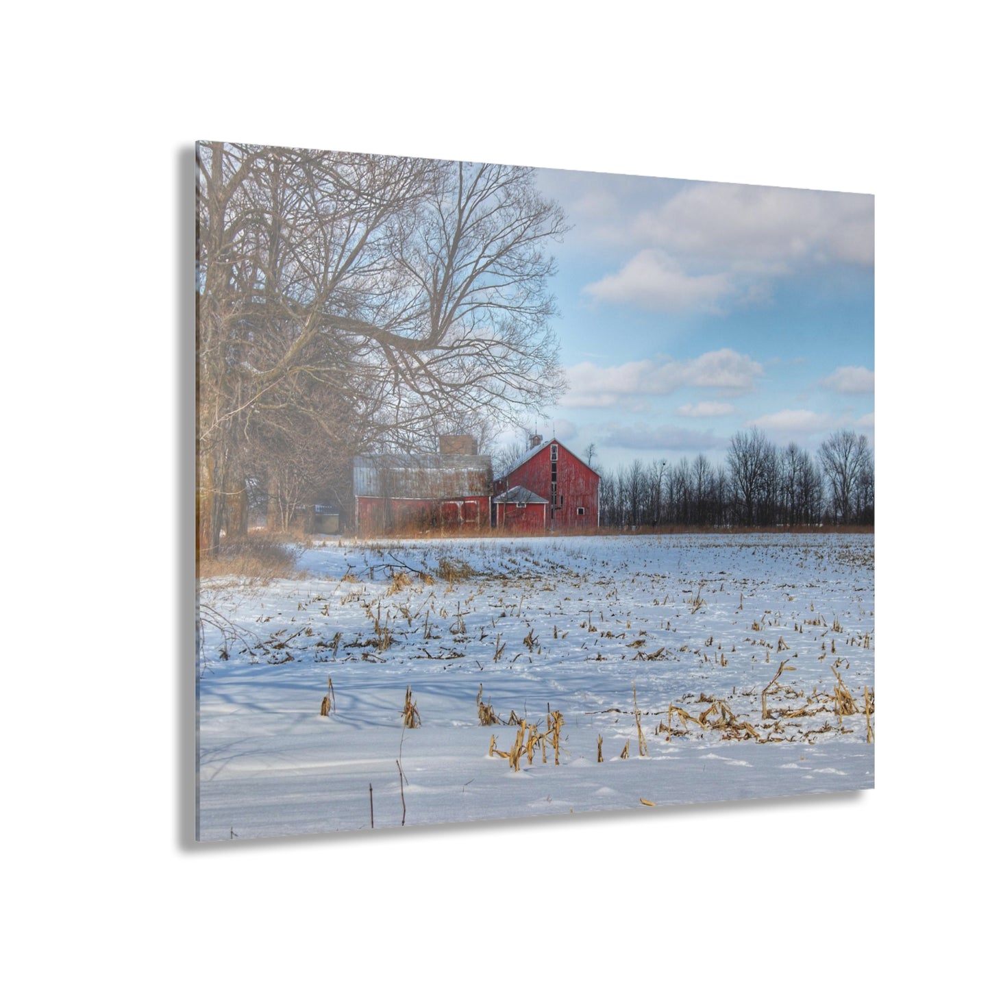 U R There Photography Across Barnes Road Frozen Cornfield Rustic Farmhouse Acrylic Wall Print