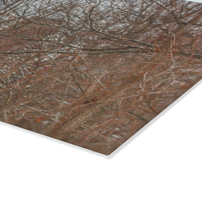 U R There Photography Hough Road Hidden Winter Red I Rustic Farmhouse Tempered-Glass Cutting Board
