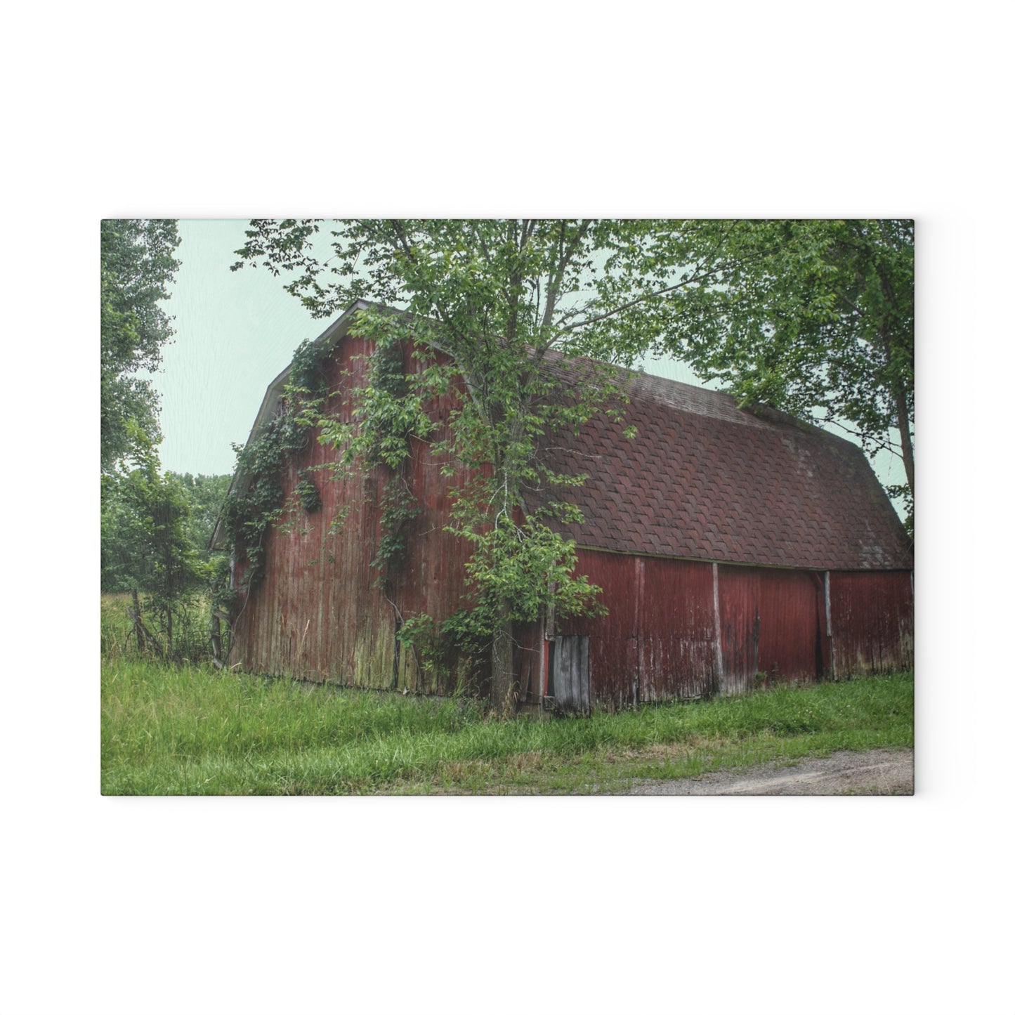 U R There Photography West Murphy Lake Red Rustic Farmhouse Tempered-Glass Cutting Board