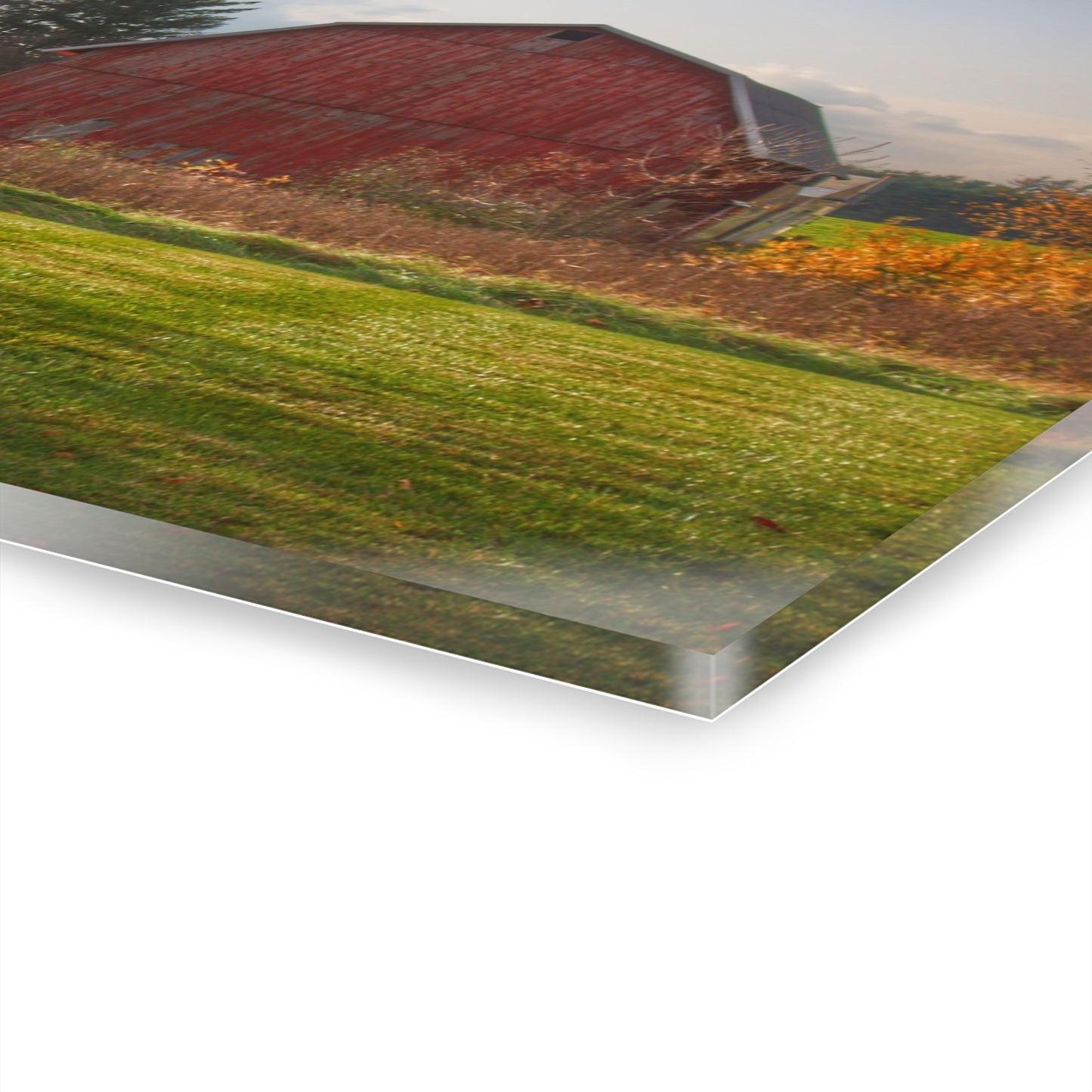 U R There Photography Invitational Drive Red Rustic Farmhouse Acrylic Wall Print