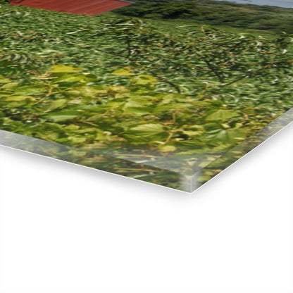 U R There Photography Montrose Farm I Rustic Farmhouse Acrylic Wall Print