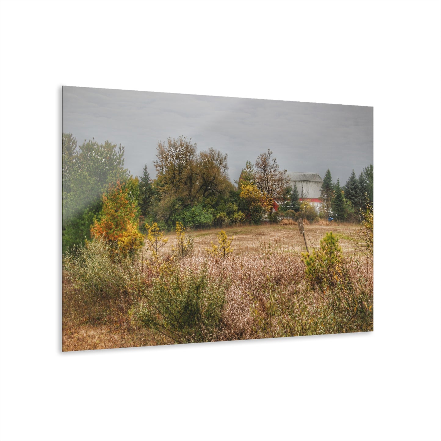 U R There Photography Hadley Road Hidden Red in Fall Rustic Farmhouse Acrylic Wall Print