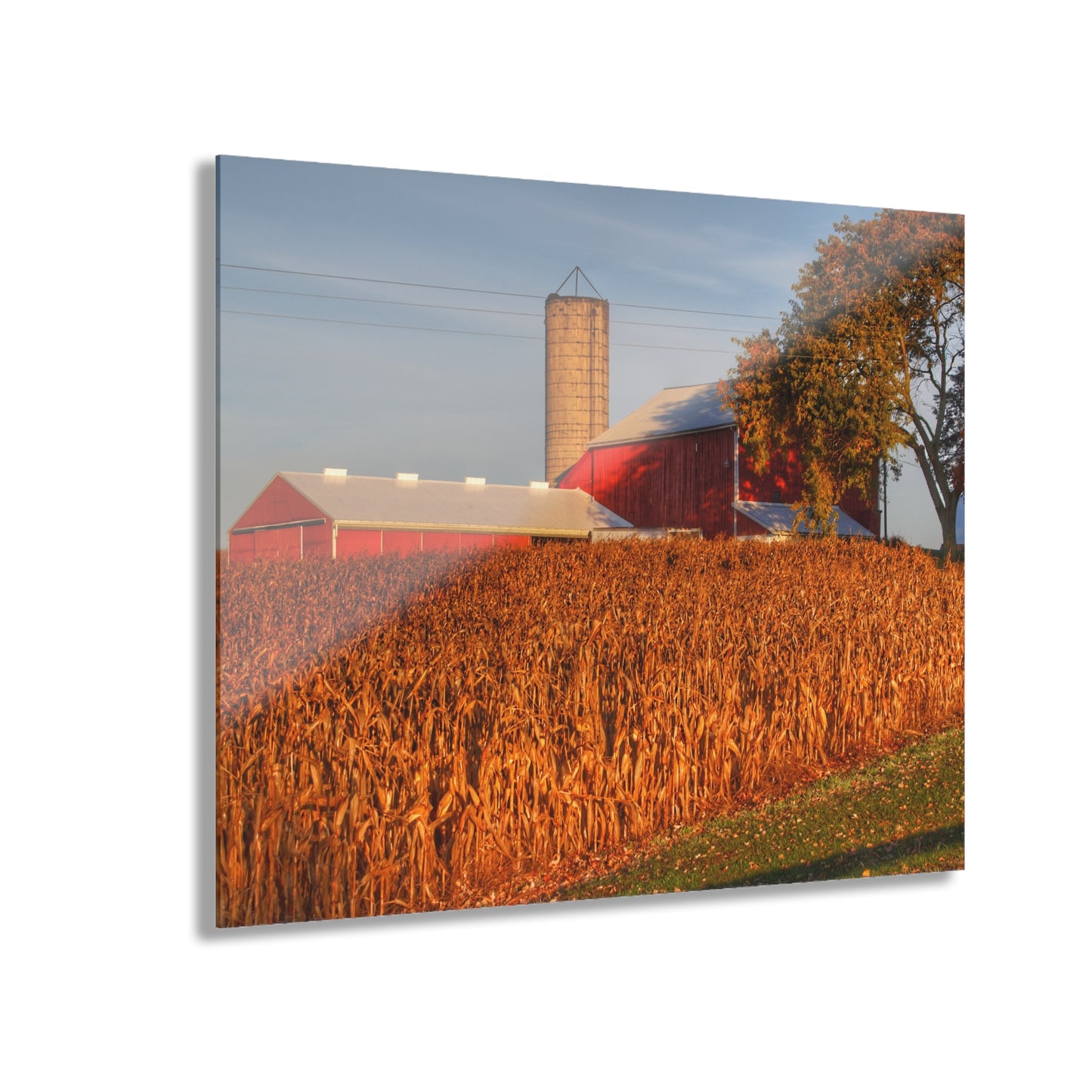 U R There Photography Lake Pleasant Reds I Rustic Farmhouse Acrylic Wall Print
