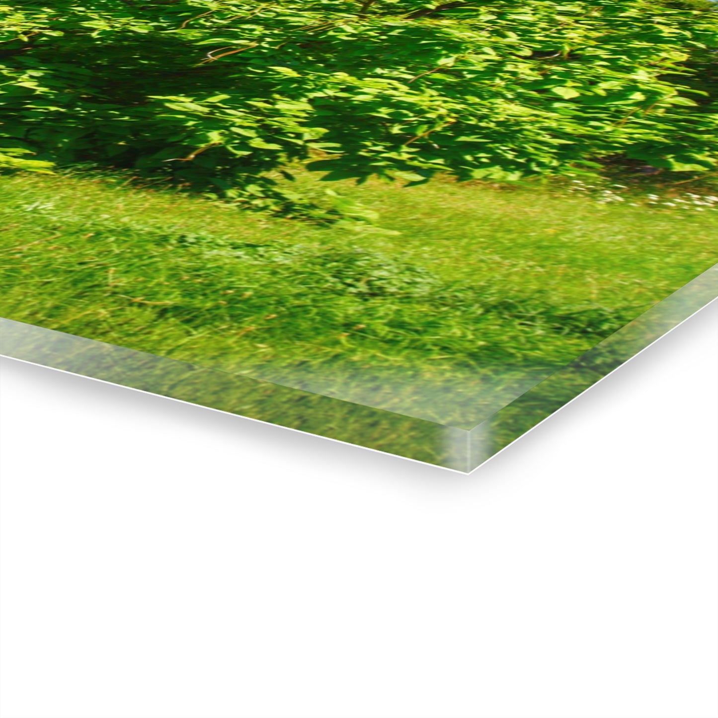 U R There Photography Hidden Grey of Hunters Creek Rustic Farmhouse Acrylic Wall Print